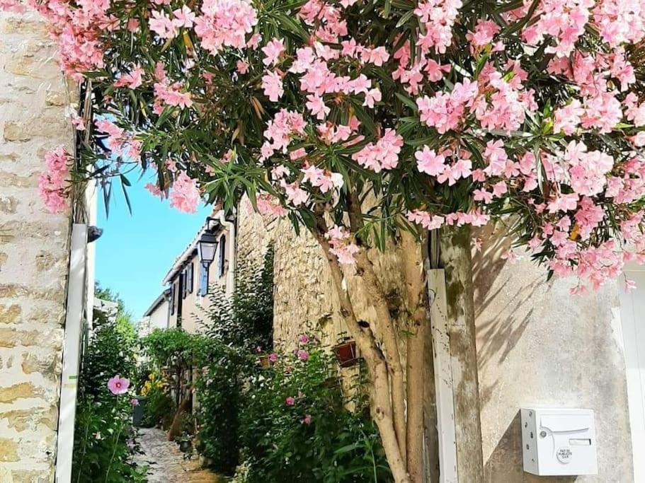 Delicieux Moment De Detente Au Coeur De Saint Martin De Re Zewnętrze zdjęcie